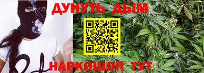 твердый Бийск