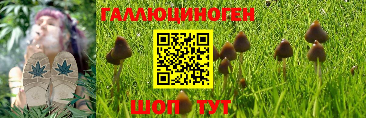 Псилоцибиновые грибы Magic Shrooms  Вход с VPN  Ковров 